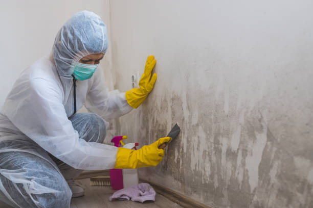 Best Residential Mold Inspection & Testing  in Stony Prairie, OH